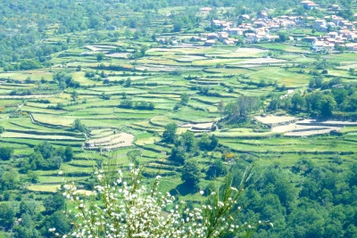 Douro Valley terraces