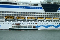 Large cruise ship