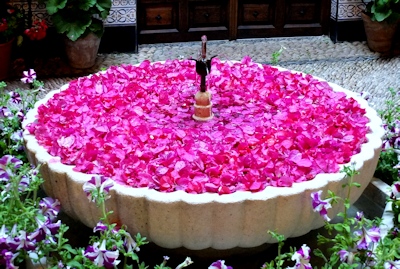 Cordoba patio flower bowl
