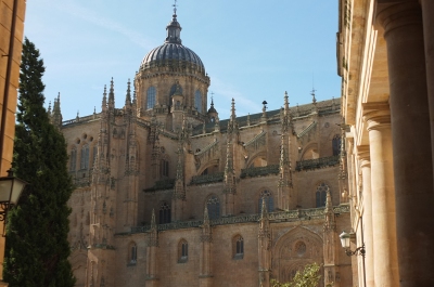 Salamanca new cathedral