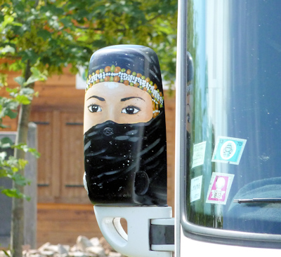 painted mh wing mirror