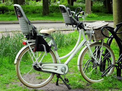 Delft bike