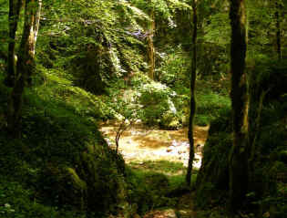 Courbet Trail - Ravine de Puits Noir
