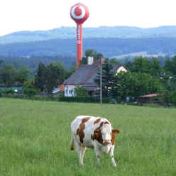 Typical mobile phone mast