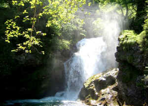 Waterfall at Vintgar Gorge