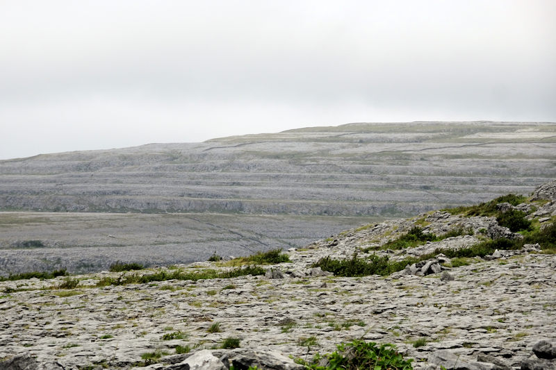 The Burren limestone rocks